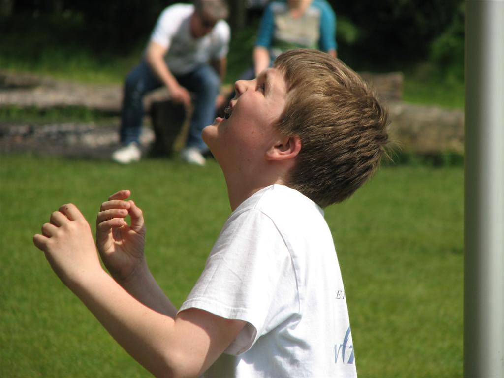 2008_mateijsen (173).JPG